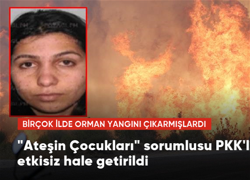 «Дети огня»: Турецкие спецслужбы нейтрализовали лидера группировки, занимавшейся поджогом лесов