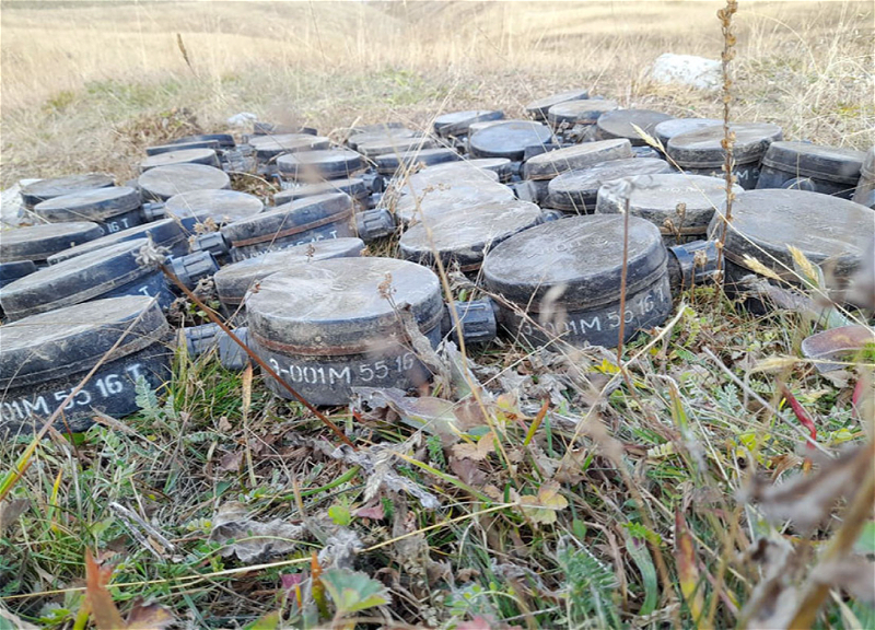 Erməni diversiya qruplarının Daşkəsəndə basdırdığı 452 mina zərərsizləşdirilib - FOTO