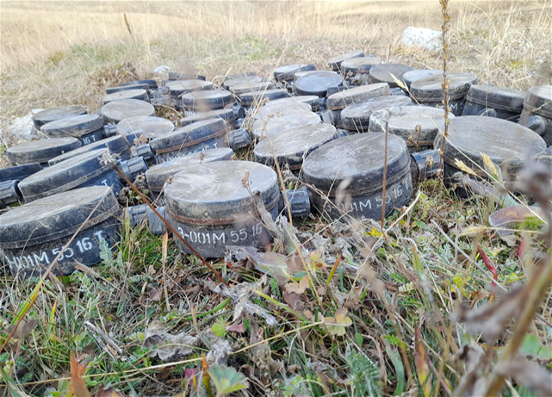 В Дашкесане обезврежены заложенные армянами мины - ФОТО