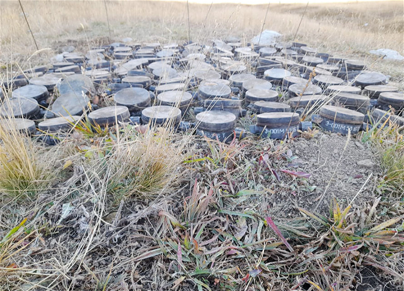 Обезврежены мины, закопанные в Кяльбаджаре и Дашкесане - ФОТО