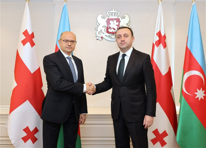 Министр энергетики Азербайджана встретился с премьер-министром Грузии