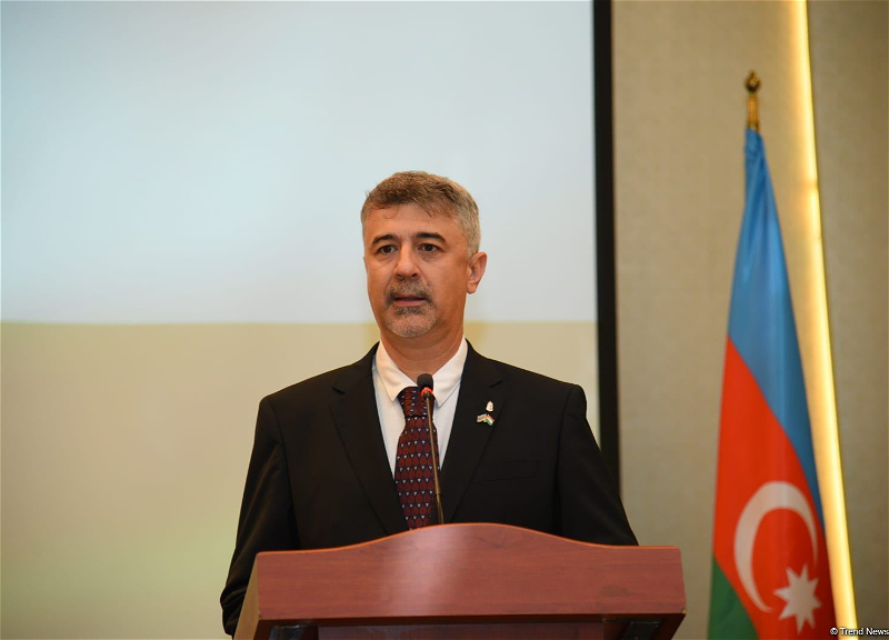Посол: Венгрия стремится включить азербайджанский газ в свой энергетический комплекс