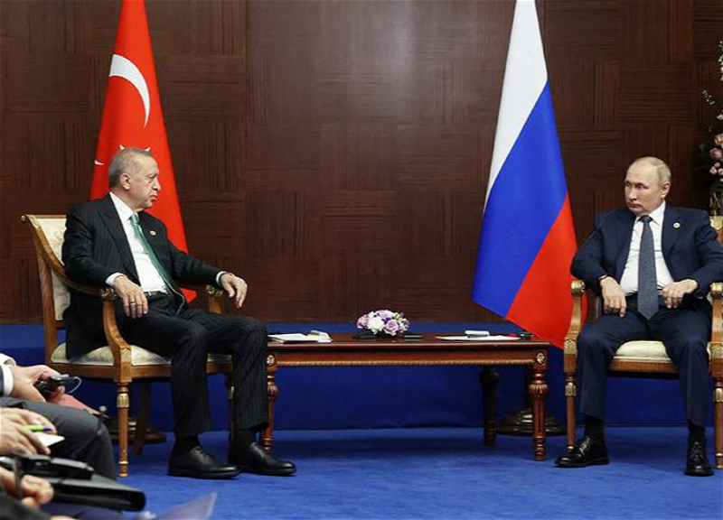 Эрдоган ответил на предложение Путина о создании в Турции крупнейшего в Европе газового хаба