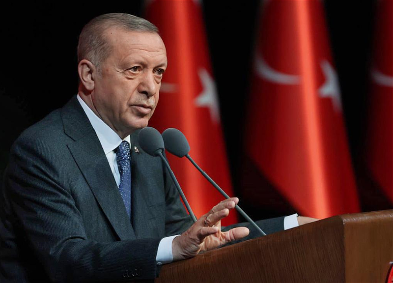 Эрдоган: Турция обеспечит распределение российского газа в Европу