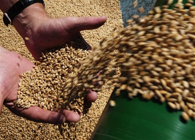 Минобороны РФ: Россия приостанавливает участие в зерновой сделке
