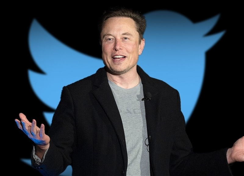Twitter уволил 50% сотрудников