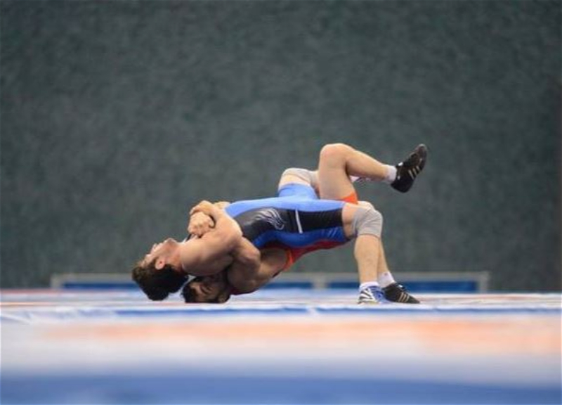 Азербайджан занял второе место на Кубке мира по греко-римской борьбе - ФОТО