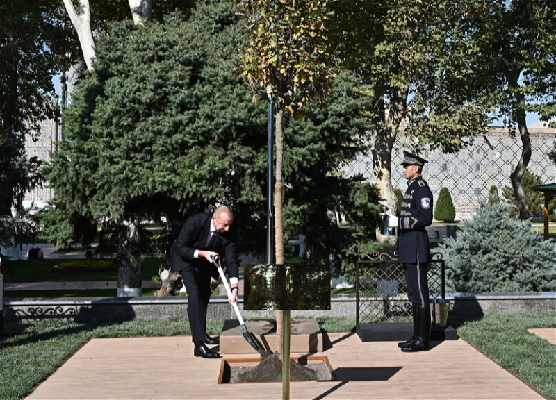 Главы государств и правительств, участвовавшие в саммите, высадили деревья на площади «Регистан» в Самарканде - ФОТО