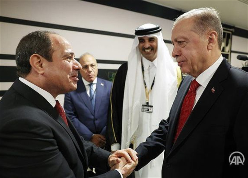 Эрдоган впервые встретился с президентом Египта - ФОТО