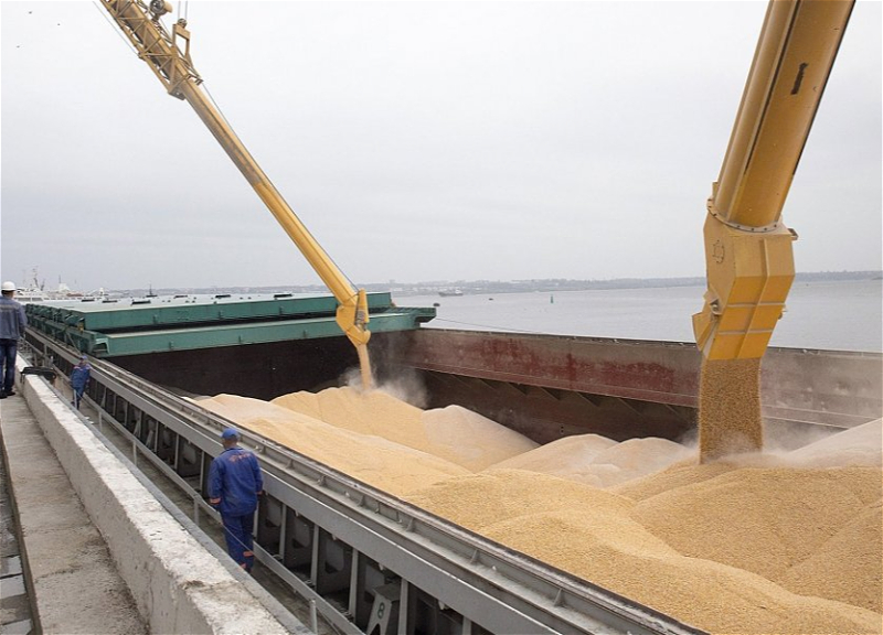 Объем перевозок по «зерновому коридору» достиг 12 млн тонн