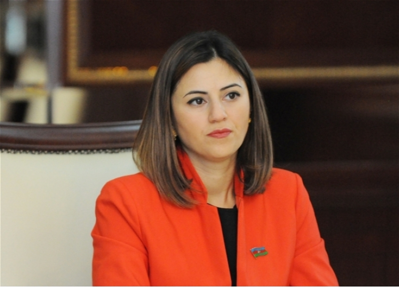 Deputat: “Qanun layihəsində siyasi partiyalar tərəfindən irəli sürülən bir çox təkliflər nəzərə alınıb”