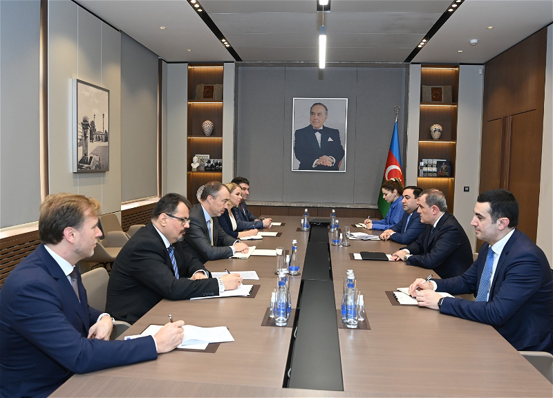 Глава МИД Азербайджана проинформировал спецпредставителя ЕС о провокациях Армении - ФОТО