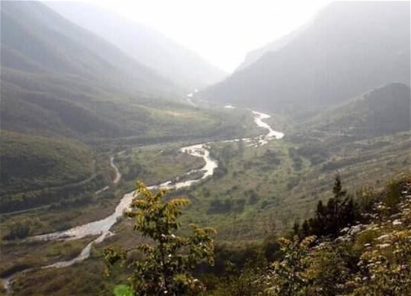 Утверждены Положение и санитарно-защитная зона Баситчайского природного заповедника