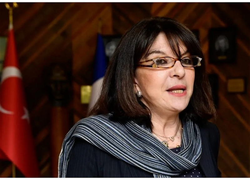Натали Гуле - Антиазербайджанская резолюция подрывает остатки доверия к Франции