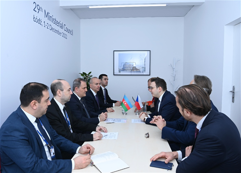 Главы МИД Азербайджана и Чехии обсудили перспективы сотрудничества