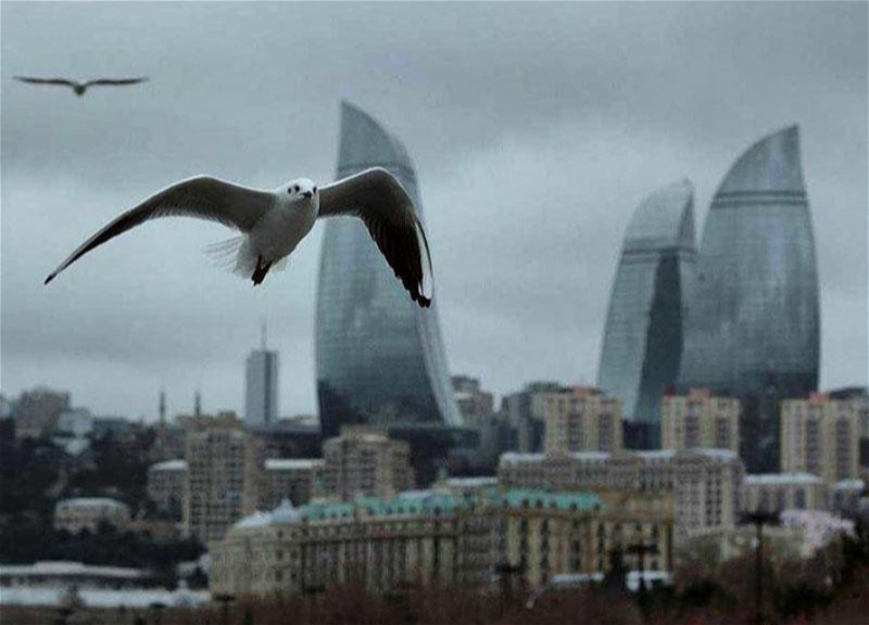 Обнародован прогноз погоды в Азербайджане на декабрь