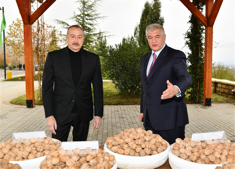 Президент Ильхам Алиев ознакомился с условиями в агропарке Şəki-Oğuz - ФОТО