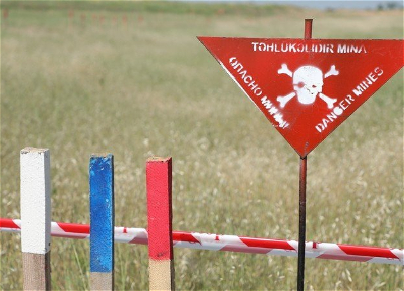 Son 30 ildə Ermənistanın mina terrorundan zərər çəkən azərbaycanlıların sayı açıqlanıb