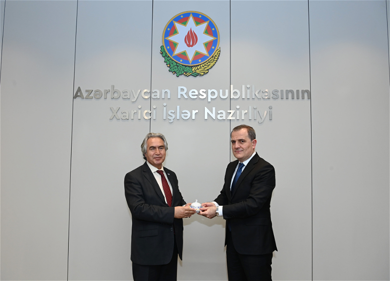 Глава МИД Азербайджана встретился с президентом Турецкого национального комитета по ЮНЕСКО