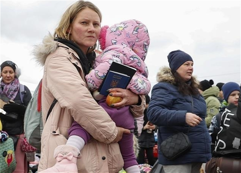 ООН: С 24 февраля в страны Европы прибыло более 7,83 млн беженцев из Украины