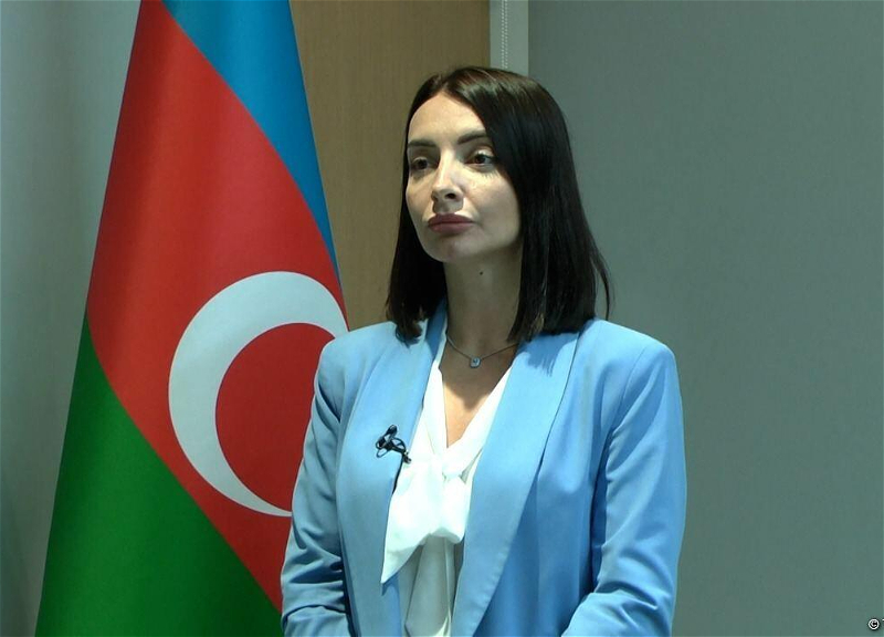 Лейла Абдуллаева о том, чему служит предоставление телеканалом France 24 трибуны армянскому сепаратисту