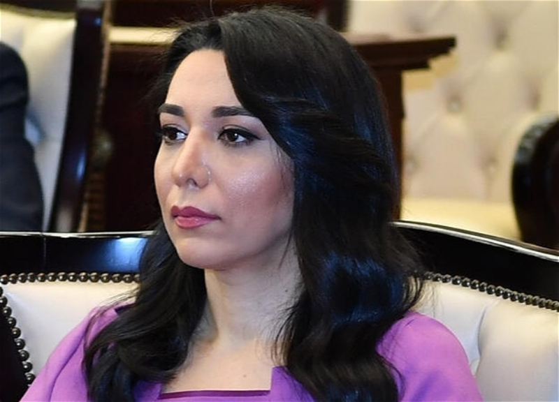 Ombudsman: İkili standartlardan ən çox əziyyət çəkən xalqlardan biri Azərbaycan xalqıdır