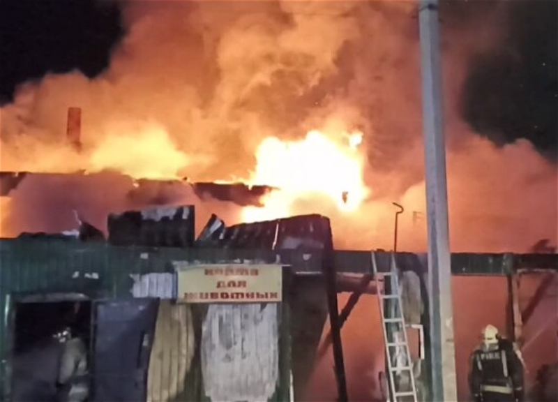 При пожаре в доме престарелых в Кемерове погибли 20 человек