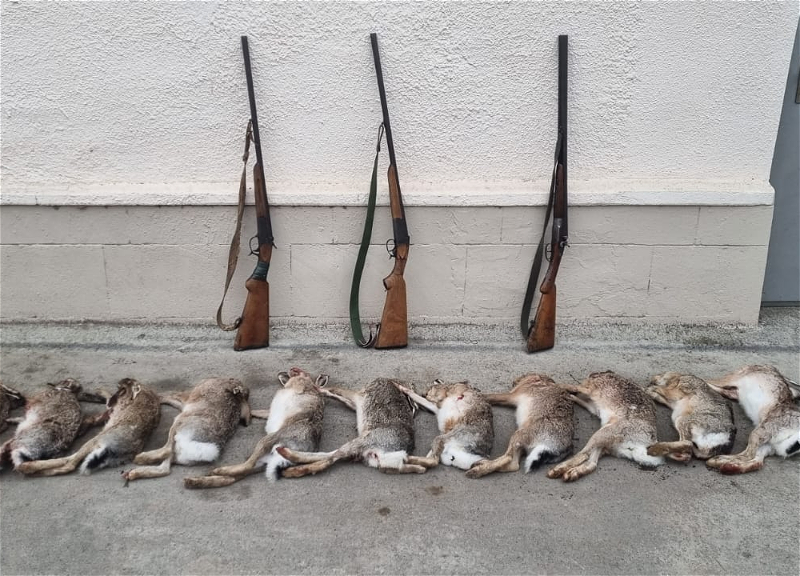 Задержаны лица, осуществлявшие незаконную охоту на зайцев