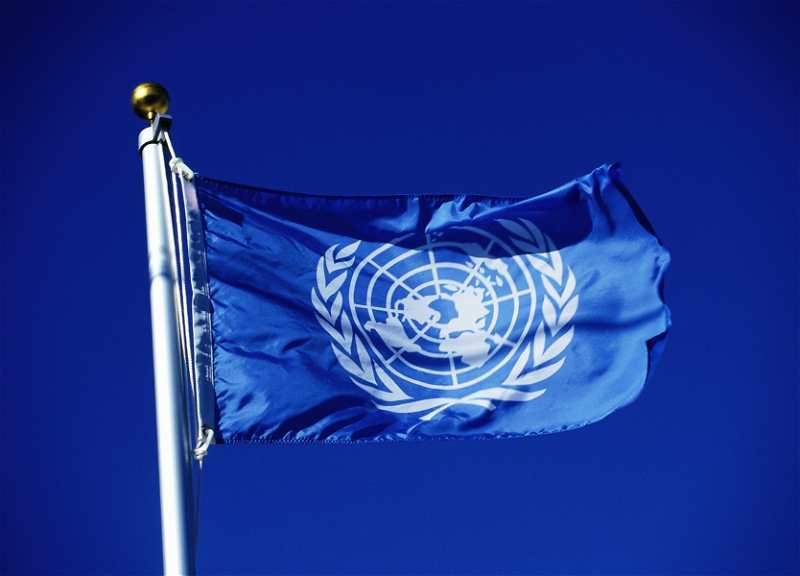 Официальное утверждение флага Организации Объединенных Наций