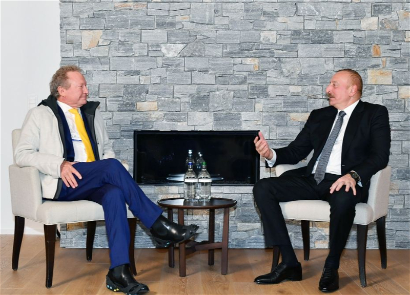 Состоялась встреча Ильхама Алиева с председателем компании «Fortesque Future Industries» - ФОТО