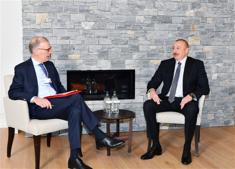 Ильхам Алиев встретился в Давосе с президентом и главным исполнительным директором компании Carlsberg Group