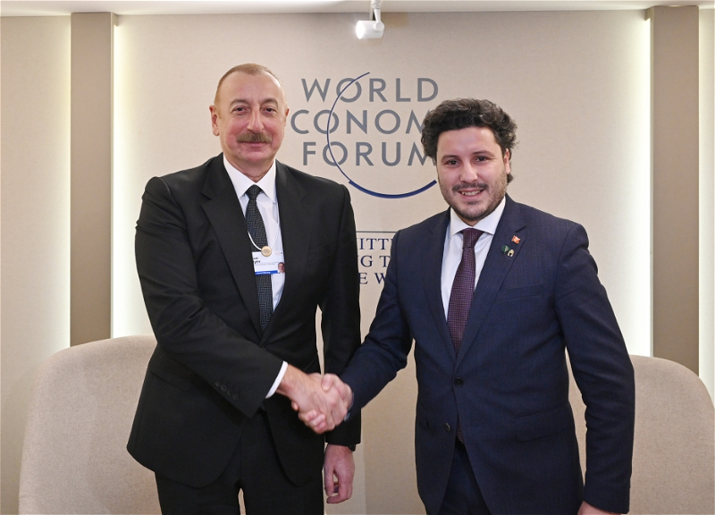 В Давосе проведен обмен мнениями о сотрудничестве между Азербайджаном и Монтенегро - ФОТО