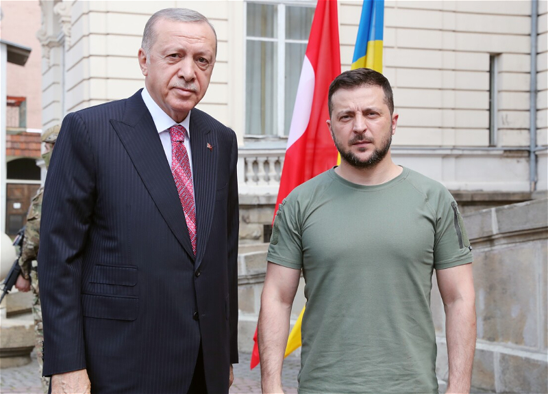 Эрдоган и Зеленский обсудили ситуацию в Украине