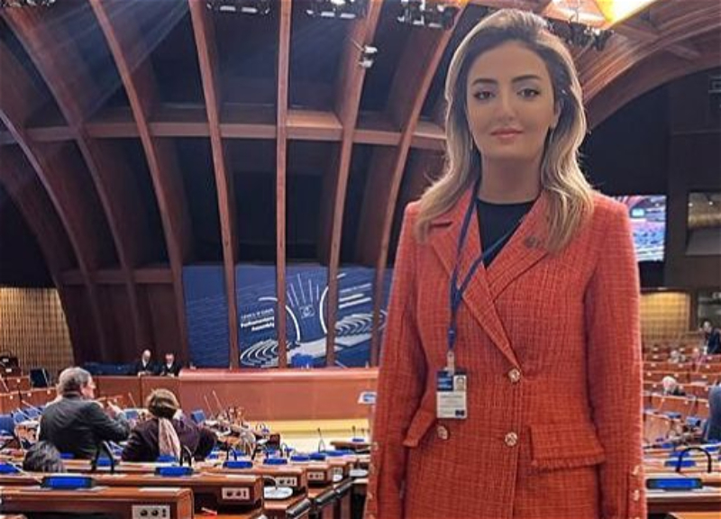 Азербайджанский депутат рассказала в ПАСЕ о противоречивых моментах визита Анны Акопян в Иран