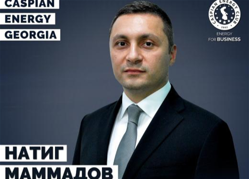Натиг Мамедов назначен председателем Caspian Energy Georgia