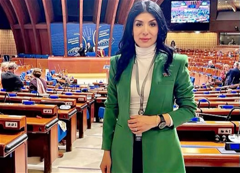 Депутат Милли Меджлиса проинформировала ПАСЕ о целях мирной акции в Карабахе - ВИДЕО