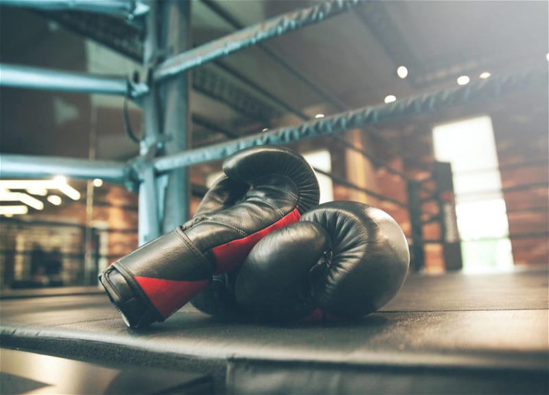 Чемпионат мира по боксу массово бойкотируют из-за допуска спортсменов из России и Беларуси