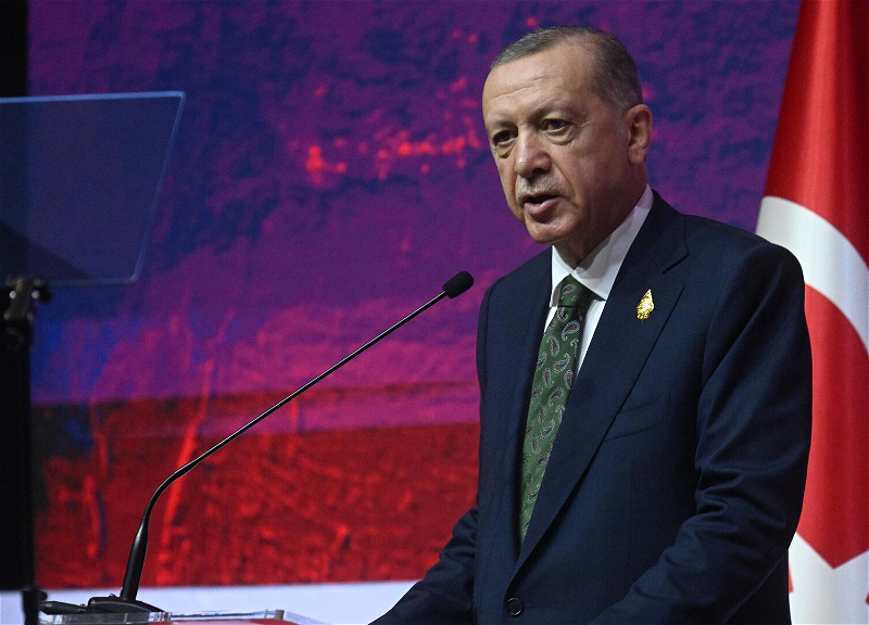 Эрдоган подтвердил: Выборы в Турции состоятся 14 мая