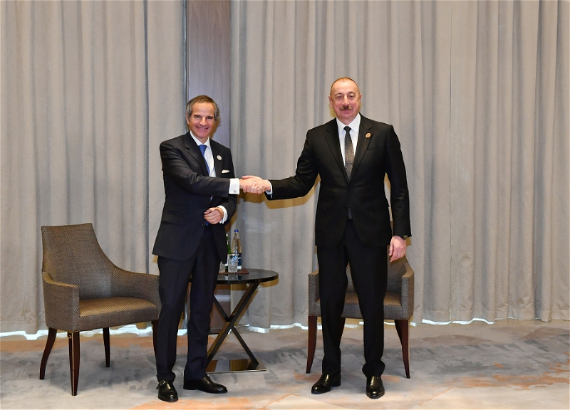 Президент Азербайджана принял гендиректора МАГАТЭ - ФОТО