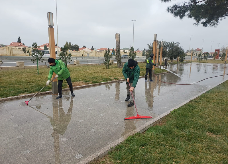 Paytaxtda ümumşəhər iməcliyi keçirilib
