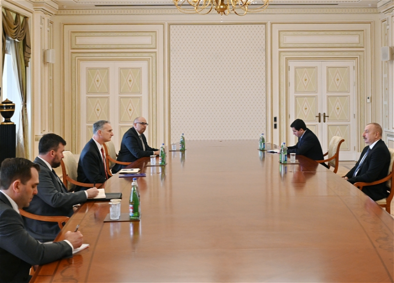 Президент Азербайджана принял старшего советника Госдепартамента США