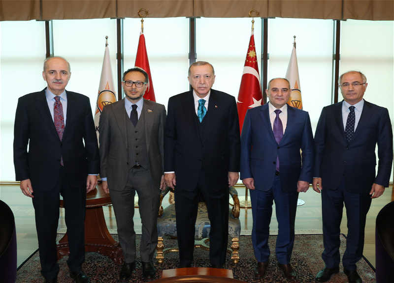 Эрдоган принял делегацию ПЕА