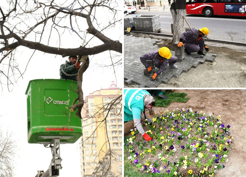 В Баку продолжаются работы по благоустройству улиц и проспектов - ФОТО