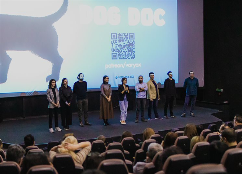 О проблемах уличных собак в Азербайджане: фильм «DogDoc» привлек широкое внимание местной и зарубежной общественности – ФОТО