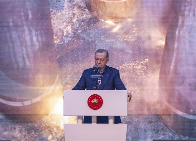 Эрдоган: Турция готовится стать газовым хабом