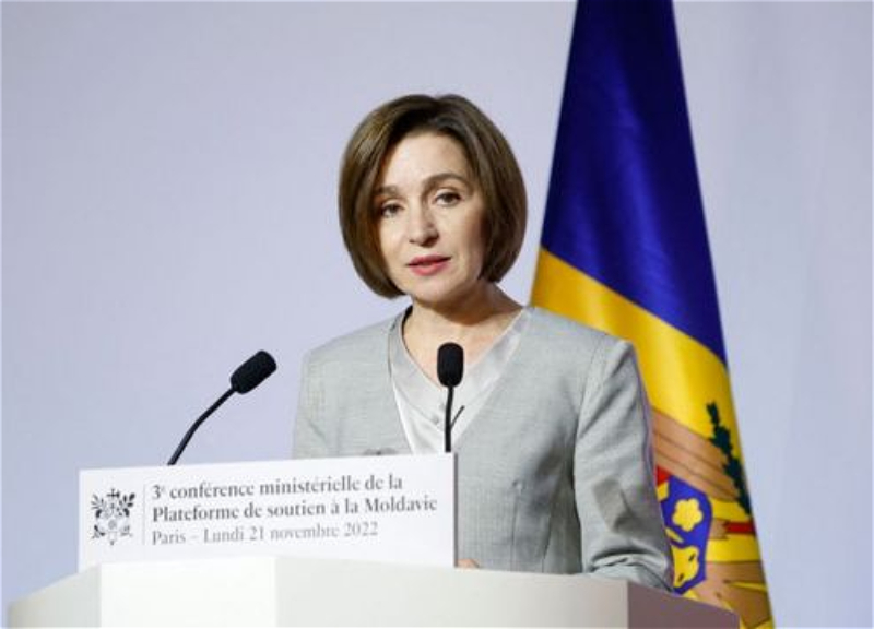 Президент Молдовы одобрила переименование государственного языка в румынский