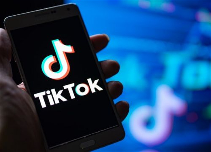 Парламент Чехии запретил депутатам пользоваться TikTok