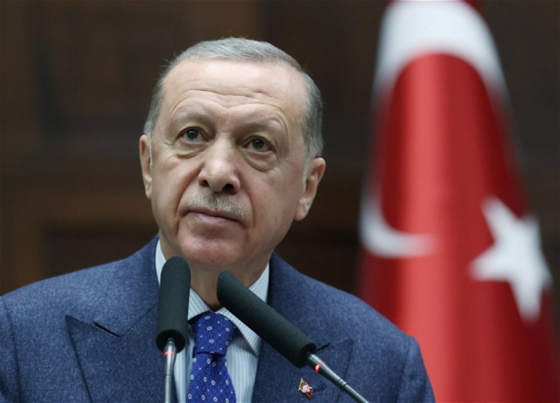 Эрдоган: «Турция и Азербайджан готовы оказать поддержку поставкам газа в Венгрию через TANAP»