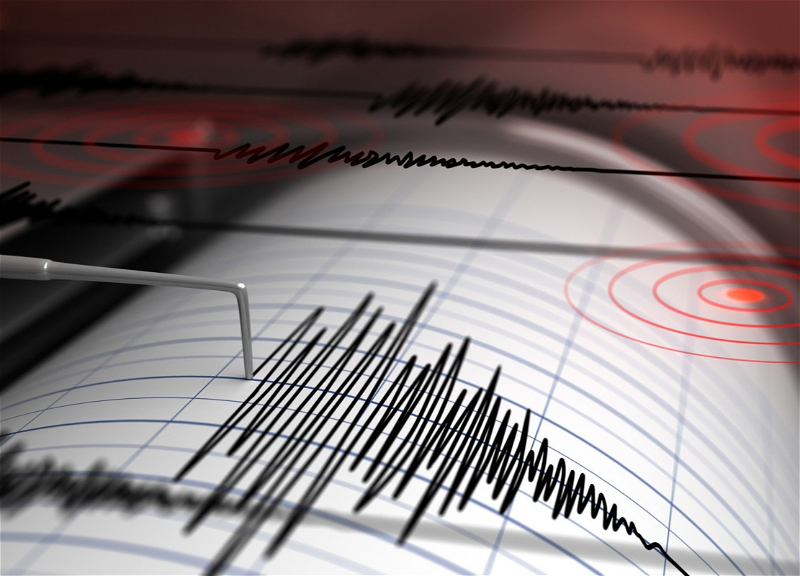 В турецкой Адане произошло землетрясение