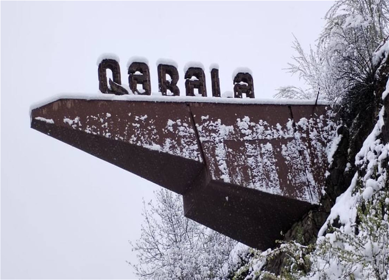 В Габалинском районе выпал сильный снег - ФОТО